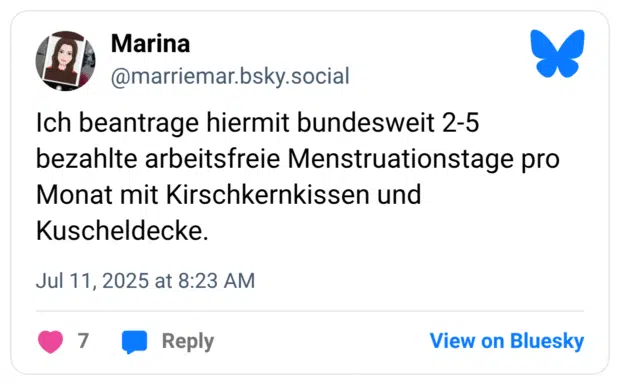 Ich beantrage hiermit bundesweit 2-5 bezahlte arbeitsfreie Menstruationstage pro Monat mit Kirschkernkissen und Kuscheldecke.