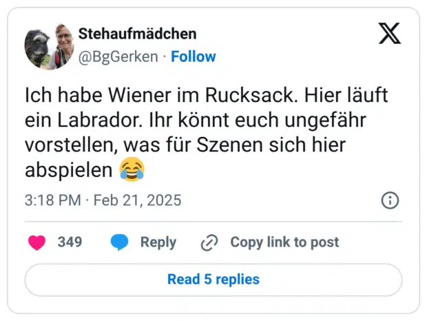Ich habe Wiener im Rucksack. Hier läuft ein Labrador. Ihr könnt euch ungefähr vorstellen, was für Szenen sich hier abspielen :freudentränen: