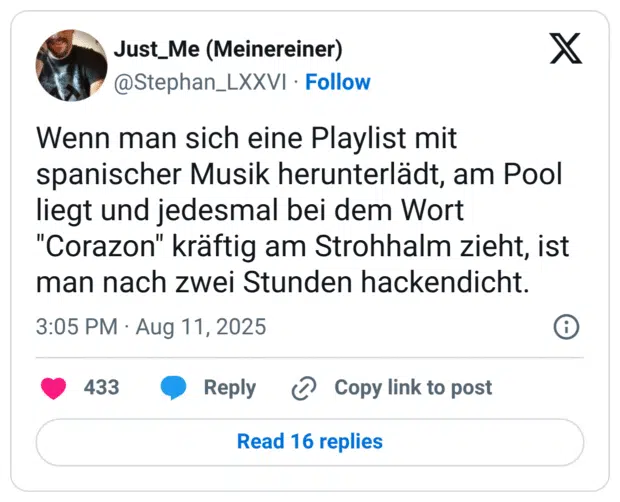 Wenn man sich eine Playlist mit spanischer Musik herunterlädt, am Pool liegt und jedesmal bei dem Wort "Corazon" kräftig am Strohhalm zieht, ist man nach zwei Stunden hackendicht.