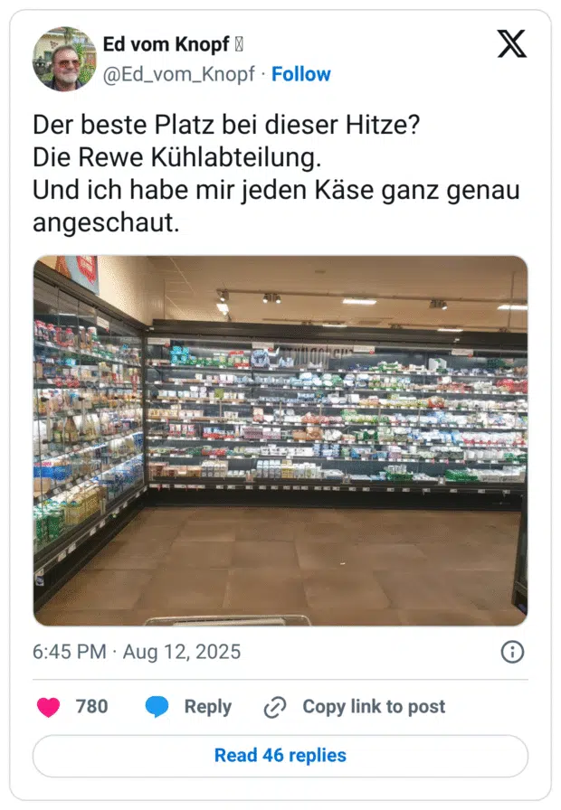 Der beste Platz bei dieser Hitze? Die Rewe Kühlabteilung. Und ich habe mir jeden Käse ganz genau angeschaut.