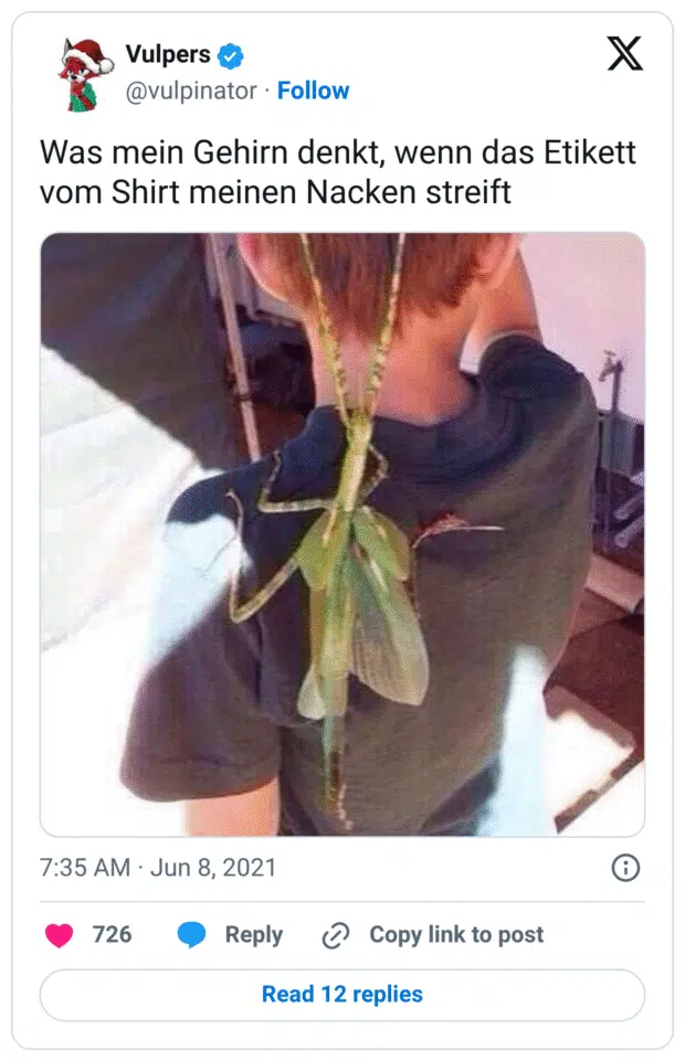 Was mein Gehirn denkt, wenn das Etikett vom Shirt meinen Nacken streift