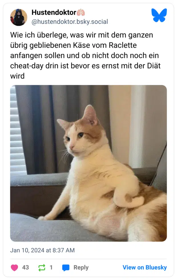 Wie ich überlege, was wir mit dem ganzen übrig gebliebenen Käse vom Raclette anfangen sollen und ob nicht doch noch ein cheat-day drin ist bevor es ernst mit der Diät wird