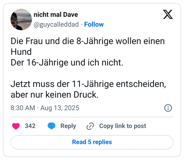 Die Frau und die 8-Jährige wollen einen Hund Der 16-Jährige und ich nicht. Jetzt muss der 11-Jährige entscheiden, aber nur keinen Druck.