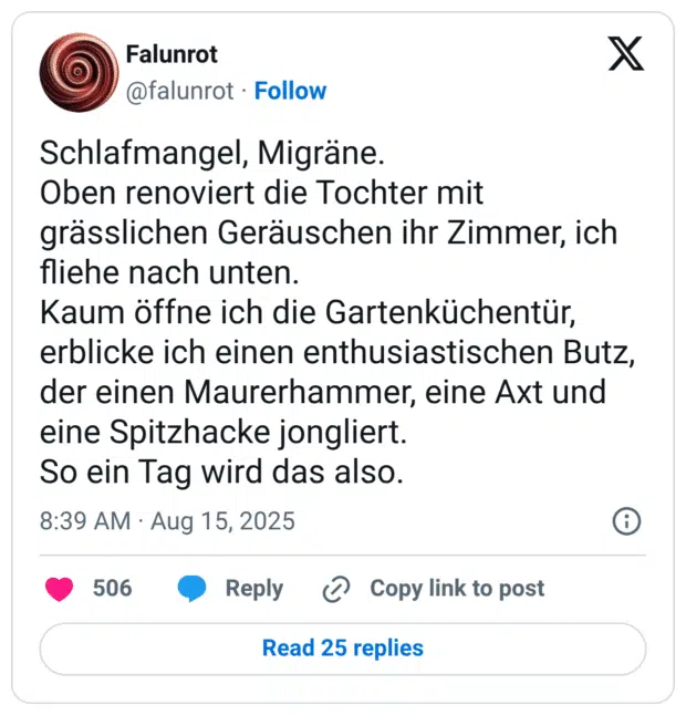 Schlafmangel, Migräne. Oben renoviert die Tochter mit grässlichen Geräuschen ihr Zimmer, ich fliehe nach unten. Kaum öffne ich die Gartenküchentür, erblicke ich einen enthusiastischen Butz, der einen Maurerhammer, eine Axt und eine Spitzhacke jongliert. So ein Tag wird das also.