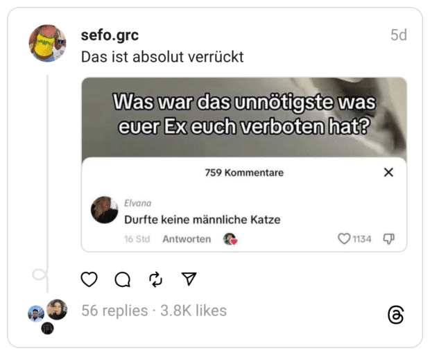 Das ist absolut verrückt Was war das unnötigste was euer Ex euch verboten hat? Elvana Durfte keine männliche Katze