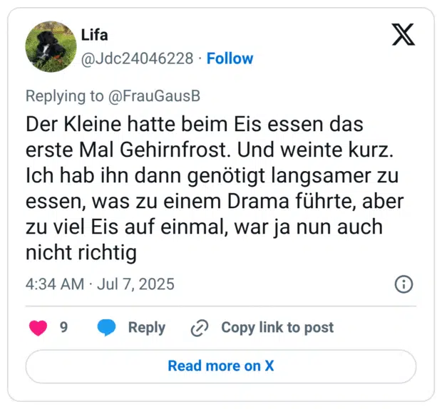 Der Kleine hatte beim Eis essen das erste Mal Gehirnfrost. Und weinte kurz. Ich hab ihn dann genötigt langsamer zu essen, was zu einem Drama führte, aber zu viel Eis auf einmal, war ja nun auch nicht richtig