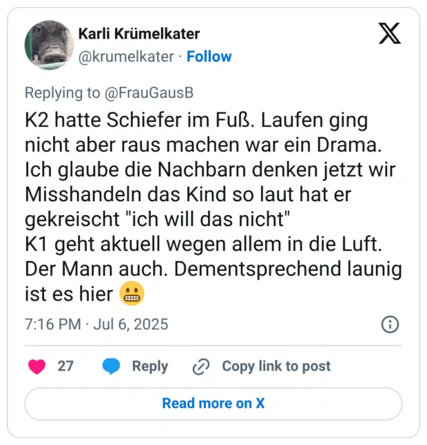 K2 hatte Schiefer im Fuß. Laufen ging nicht aber raus machen war ein Drama. Ich glaube die Nachbarn denken jetzt wir Misshandeln das Kind so laut hat er gekreischt "ich will das nicht" K1 geht aktuell wegen allem in die Luft. Der Mann auch. Dementsprechend launig ist es hier