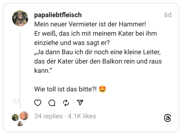 Mein neuer Vermieter ist der Hammer! Er weiß, das ich mit meinem Kater bei ihm einziehe und was sagt er? „Ja dann Bau ich dir noch eine kleine Leiter, das der Kater über den Balkon rein und raus kann.“ Wie toll ist das bitte?! 🤩