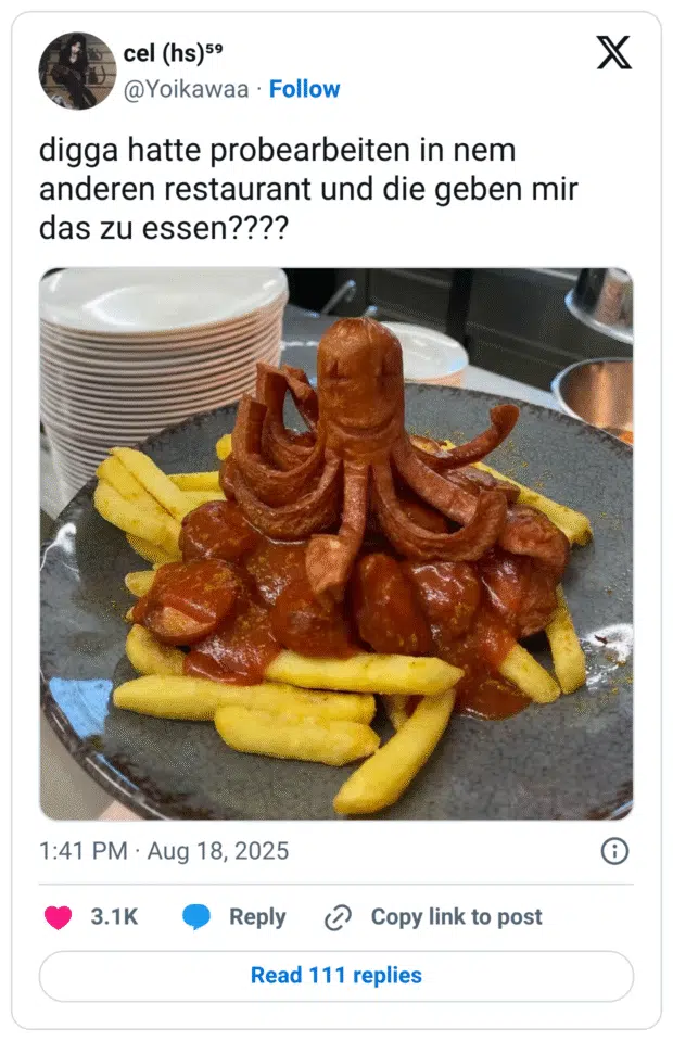 digga hatte probearbeiten in nem anderen restaurant und die geben mir das zu essen????