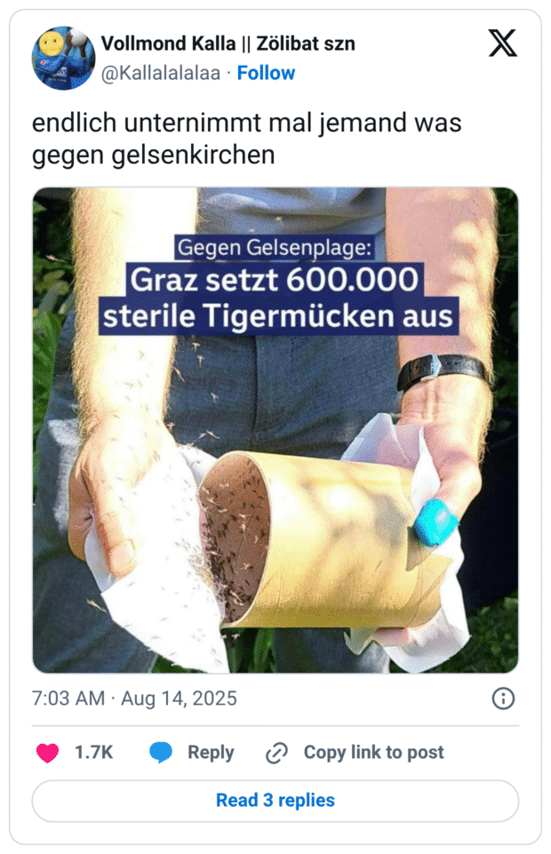 endlich unternimmt mal jemand was gegen gelsenkirchen