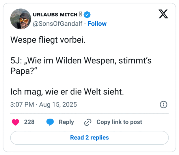 Wespe fliegt vorbei. 5J: „Wie im Wilden Wespen, stimmt’s Papa?“ Ich mag, wie er die Welt sieht.
