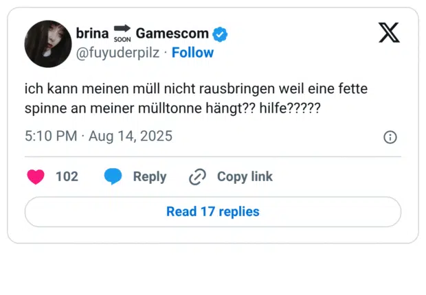 ich kann meinen müll nicht rausbringen weil eine fette spinne an meiner mülltonne hängt?? hilfe?????