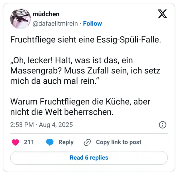Fruchtfliege sieht eine Essig-Spüli-Falle. „Oh, lecker! Halt, was ist das, ein Massengrab? Muss Zufall sein, ich setz mich da auch mal rein.“ Warum Fruchtfliegen die Küche, aber nicht die Welt beherrschen.
