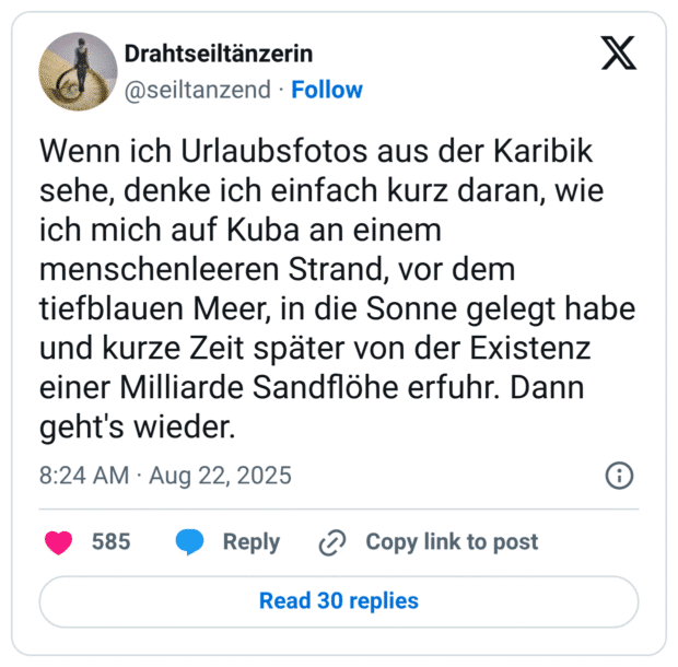 Wenn ich Urlaubsfotos aus der Karibik sehe, denke ich einfach kurz daran, wie ich mich auf Kuba an einem menschenleeren Strand, vor dem tiefblauen Meer, in die Sonne gelegt habe und kurze Zeit später von der Existenz einer Milliarde Sandflöhe erfuhr. Dann geht's wieder.