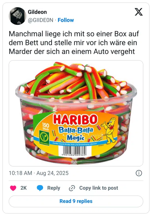 Manchmal liege ich mit so einer Box auf dem Bett und stelle mir vor ich wäre ein Marder der sich an einem Auto vergeht