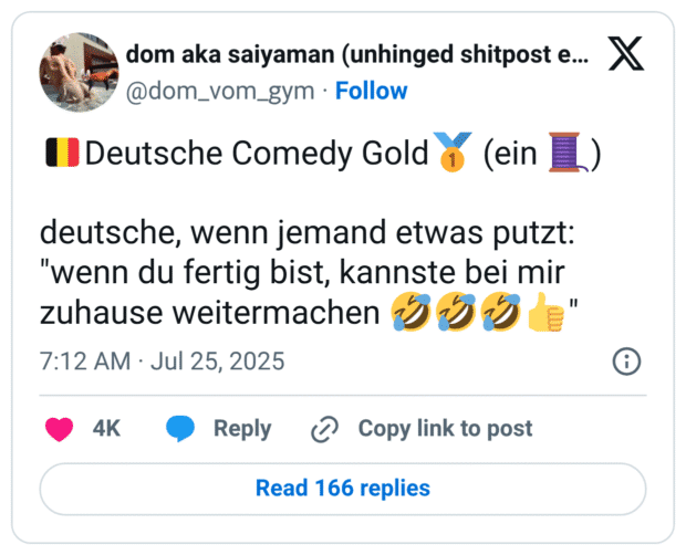 🇧🇪Deutsche Comedy Gold🥇 (ein 🧵) deutsche, wenn jemand etwas putzt: "wenn du fertig bist, kannste bei mir zuhause weitermachen 🤣🤣🤣👍"