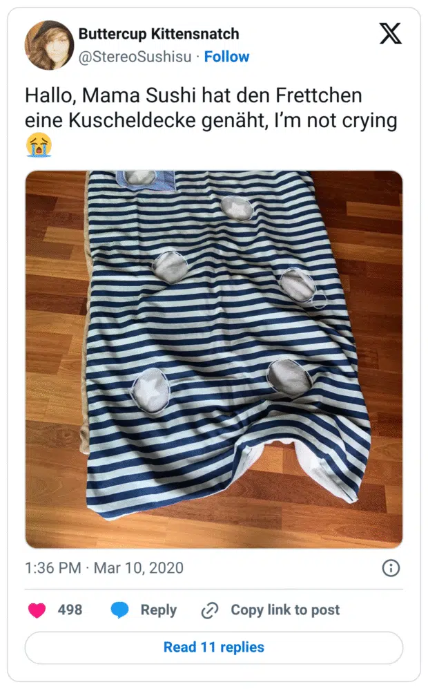 Hallo, Mama Sushi hat den Frettchen eine Kuscheldecke genäht, I’m not crying 😭