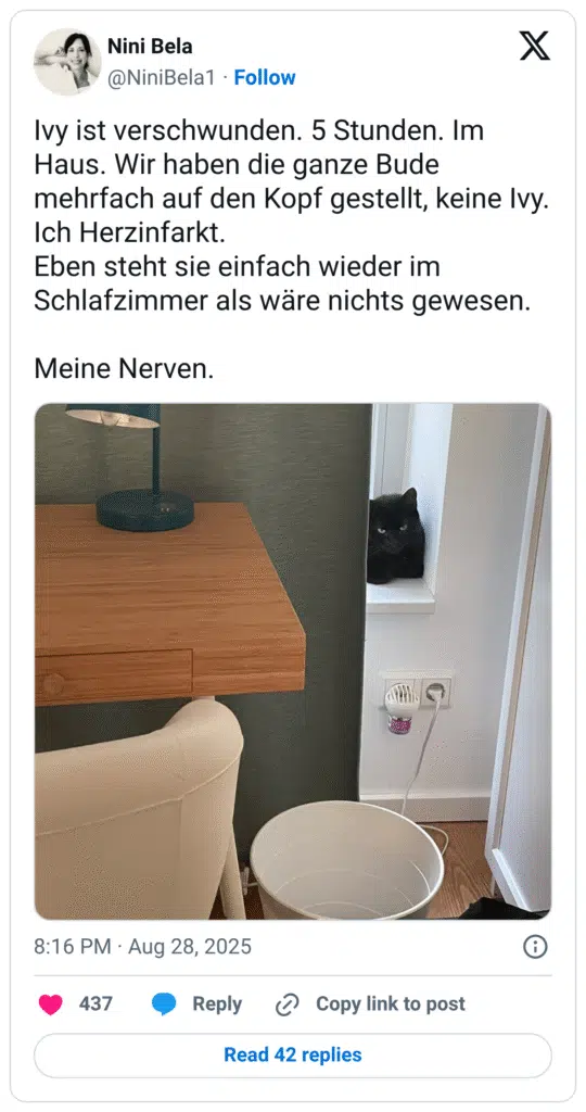 Ivy ist verschwunden. 5 Stunden. Im Haus. Wir haben die ganze Bude mehrfach auf den Kopf gestellt, keine Ivy. Ich Herzinfarkt. Eben steht sie einfach wieder im Schlafzimmer als wäre nichts gewesen. Meine Nerven.