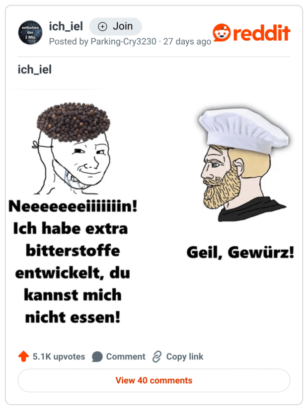 Zweiteiliges Meme: Links ein weinender Wojak mit einer „Frisur“ aus schwarzen Pfefferkörnern ruft: „Neeeeeiiiiiin! Ich habe extra Bitterstoffe entwickelt, du kannst mich nicht essen!“ Rechts schaut ein bärtiger Koch mit Mütze gelassen rüber und sagt: „Geil, Gewürz!“ – Pointe: Pflanzliche Abwehrstoffe enden in der Küche als aromatische Gewürze.