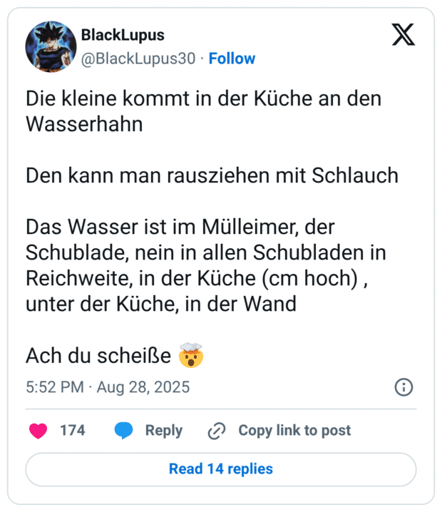 Die kleine kommt in der Küche an den Wasserhahn Den kann man rausziehen mit Schlauch Das Wasser ist im Mülleimer, der Schublade, nein in allen Schubladen in Reichweite, in der Küche (cm hoch) , unter der Küche, in der Wand Ach du scheiße 🤯