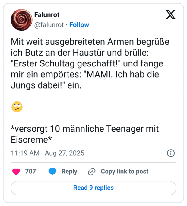 Mit weit ausgebreiteten Armen begrüße ich Butz an der Haustür und brülle: "Erster Schultag geschafft!" und fange mir ein empörtes: "MAMI. Ich hab die Jungs dabei!" ein. 🙄 *versorgt 10 männliche Teenager mit Eiscreme*