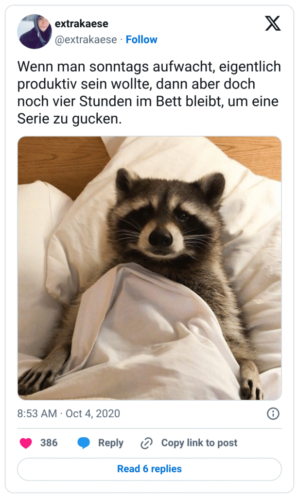 Wenn man sonntags aufwacht, eigentlich produktiv sein wollte, dann aber doch noch vier Stunden im Bett bleibt, um eine Serie zu gucken.