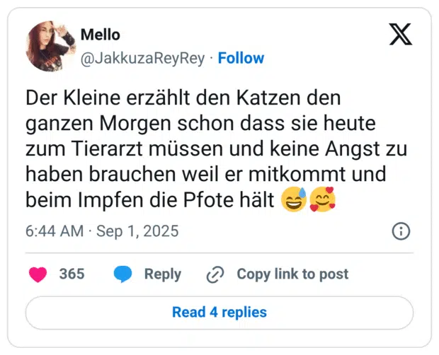 Der Kleine erzählt den Katzen den ganzen Morgen schon dass sie heute zum Tierarzt müssen und keine Angst zu haben brauchen weil er mitkommt und beim Impfen die Pfote hält