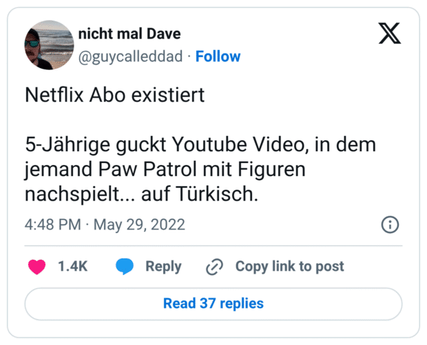 Netflix Abo existiert 5-Jährige guckt Youtube Video, in dem jemand Paw Patrol mit Figuren nachspielt... auf Türkisch.