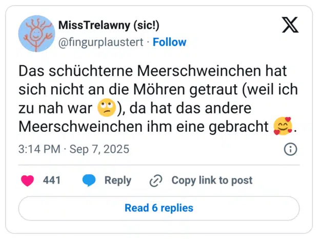 Das schüchterne Meerschweinchen hat sich nicht an die Möhren getraut (weil ich zu nah war 🙄), da hat das andere Meerschweinchen ihm eine gebracht 🥰.