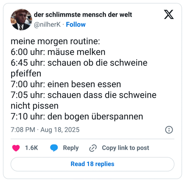 meine morgen routine: 6:00 uhr: mäuse melken 6:45 uhr: schauen ob die schweine pfeiffen 7:00 uhr: einen besen essen 7:05 uhr: schauen dass die schweine nicht pissen 7:10 uhr: den bogen überspannen