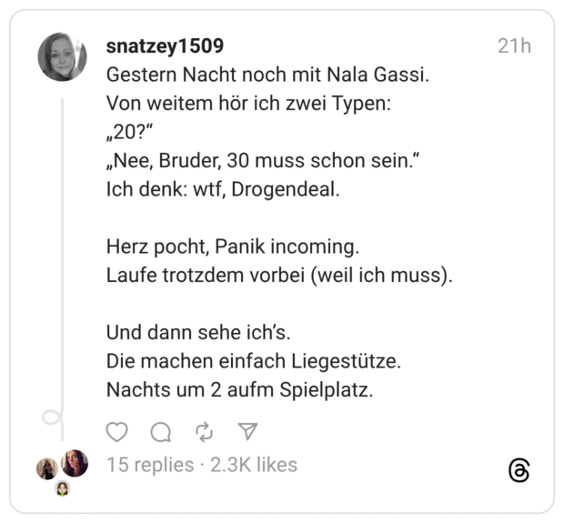 Gestern Nacht noch mit Nala Gassi. Von weitem hör ich zwei Typen: „20?" „Nee, Bruder, 30 muss schon sein." Ich denk: wtf, Drogendeal. Herz pocht, Panik incoming. Laufe trotzdem vorbei (weil ich muss). Und dann sehe ich's. Die machen einfach Liegestütze. Nachts um 2 aufm Spielplatz.