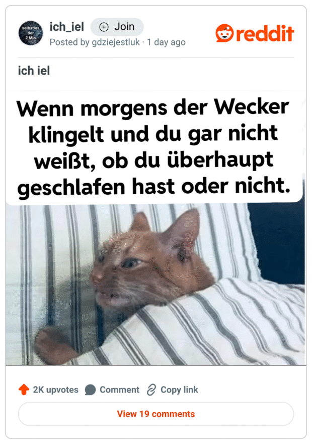 Meme mit einer müde und genervt dreinschauenden Katze, die unter einer gestreiften Bettdecke liegt. Darüber der Text: „Wenn morgens der Wecker klingelt und du gar nicht weißt, ob du überhaupt geschlafen hast oder nicht.“