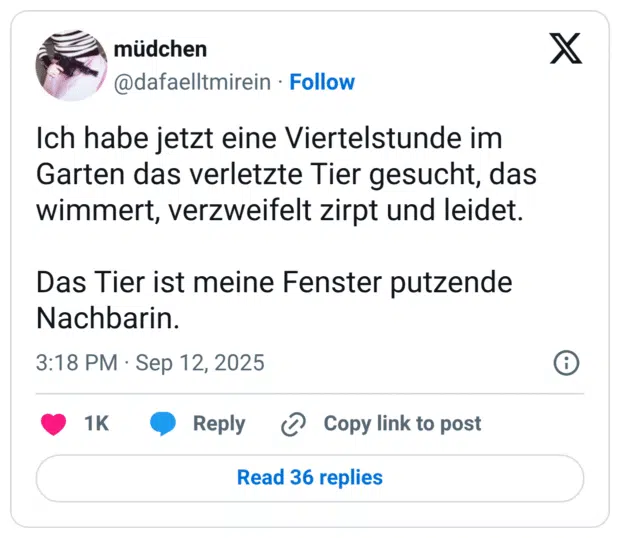 Ich habe jetzt eine Viertelstunde im Garten das verletzte Tier gesucht, das wimmert, verzweifelt zirpt und leidet. Das Tier ist meine Fenster putzende Nachbarin