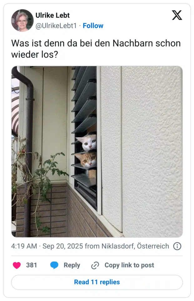 Was ist denn da bei den Nachbarn schon wieder los?