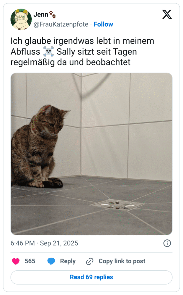 Ich glaube irgendwas lebt in meinem Abfluss ☠️ Sally sitzt seit Tagen regelmäßig da und beobachtet