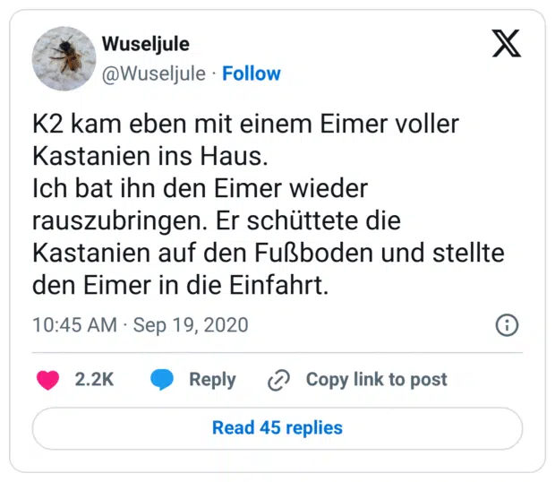 K2 kam eben mit einem Eimer voller Kastanien ins Haus. Ich bat ihn den Eimer wieder rauszubringen. Er schüttete die Kastanien auf den Fußboden und stellte den Eimer in die Einfahrt.