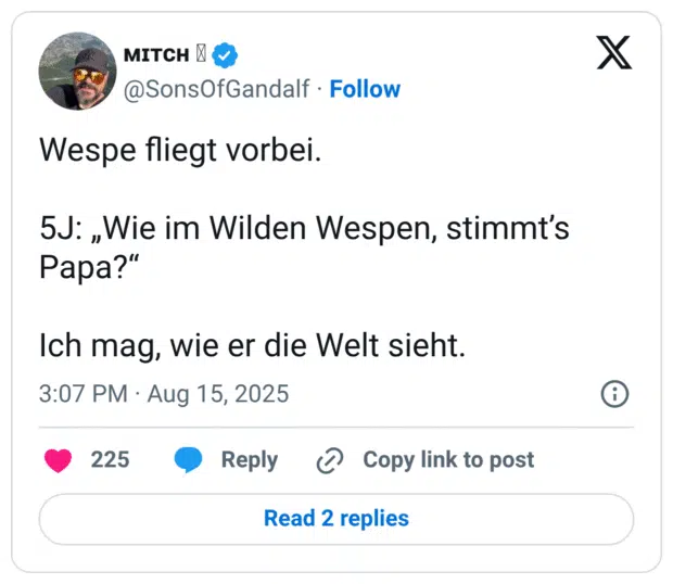 Wespe fliegt vorbei. 5J: „Wie im Wilden Wespen, stimmt's Papa?" Ich mag, wie er die Welt sieht.