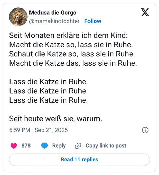 Seit Monaten erkläre ich dem Kind: Macht die Katze so, lass sie in Ruhe. Schaut die Katze so, lass sie in Ruhe. Macht die Katze das, lass sie in Ruhe. Lass die Katze in Ruhe. Lass die Katze in Ruhe. Lass die Katze in Ruhe. Seit heute weiß sie, warum.