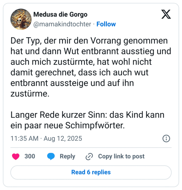 Der Typ, der mir den Vorrang genommen hat und dann Wut entbrannt ausstieg und auch mich zustürmte, hat wohl nicht damit gerechnet, dass ich auch wut entbrannt aussteige und auf ihn zustürme. Langer Rede kurzer Sinn: das Kind kann ein paar neue Schimpfwörter.