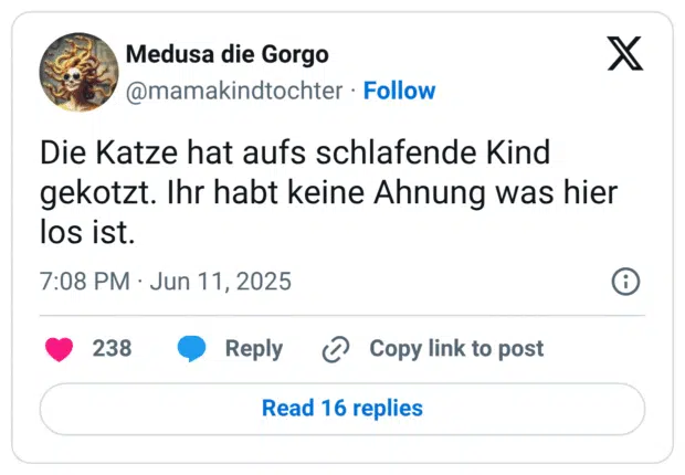 Die Katze hat aufs schlafende Kind gekotzt. Ihr habt keine Ahnung was hier los ist.