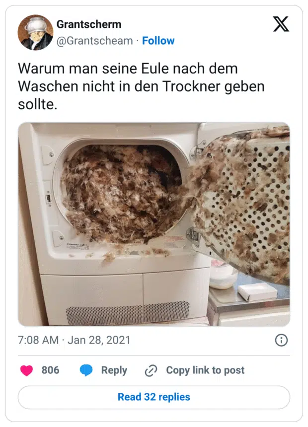 Warum man seine Eule nach dem Waschen nicht in den Trockner geben sollte.