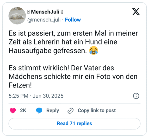 Es ist passiert, zum ersten Mal in meiner Zeit als Lehrerin hat ein Hund eine Hausaufgabe gefressen. 😂 Es stimmt wirklich! Der Vater des Mädchens schickte mir ein Foto von den Fetzen!