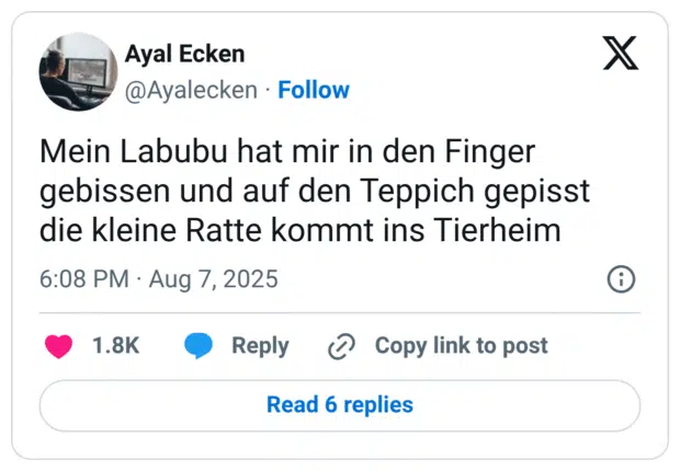 Mein Labubu hat mir in den Finger gebissen und auf den Teppich gepisst die kleine Ratte kommt ins Tierheim