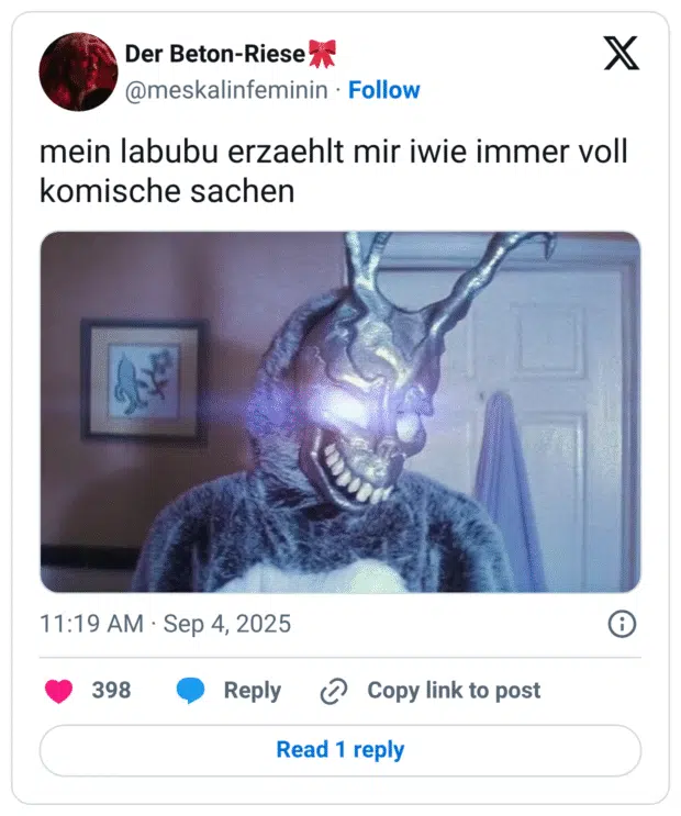 mein labubu erzaehlt mir iwie immer voll komische sachen