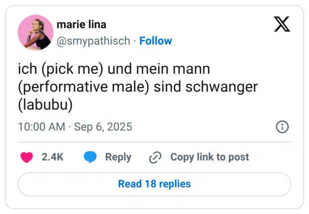 ich (pick me) und mein mann (performative male) sind schwanger (labubu)