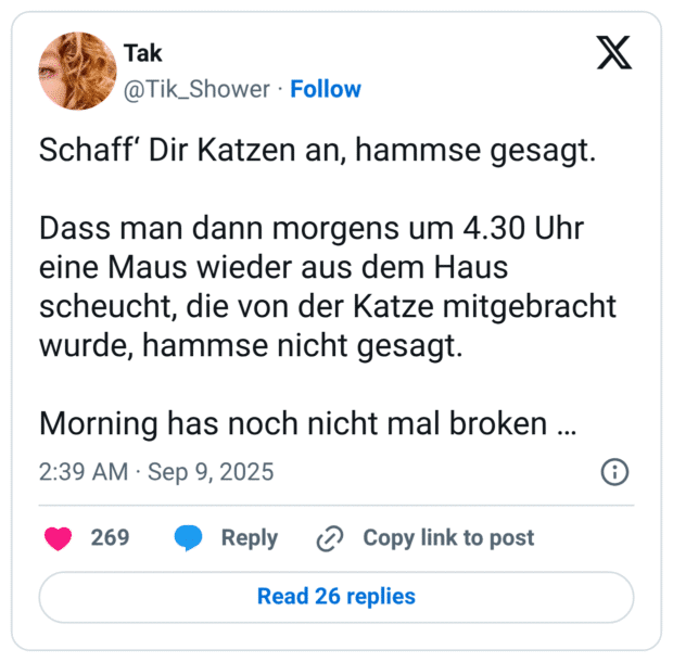 Schaff‘ Dir Katzen an, hammse gesagt. Dass man dann morgens um 4.30 Uhr eine Maus wieder aus dem Haus scheucht, die von der Katze mitgebracht wurde, hammse nicht gesagt. Morning has noch nicht mal broken …