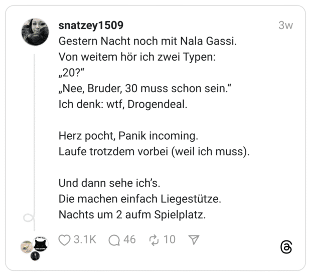 Gestern Nacht noch mit Nala Gassi. Von weitem hör ich zwei Typen: „20?“ „Nee, Bruder, 30 muss schon sein.“ Ich denk: wtf, Drogendeal. Herz pocht, Panik incoming. Laufe trotzdem vorbei (weil ich muss). Und dann sehe ich’s. Die machen einfach Liegestütze. Nachts um 2 aufm Spielplatz.
