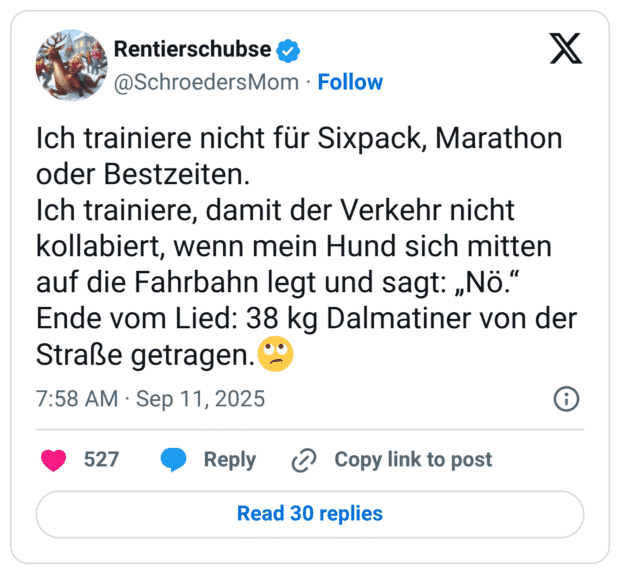 Ich trainiere nicht für Sixpack, Marathon oder Bestzeiten. Ich trainiere, damit der Verkehr nicht kollabiert, wenn mein Hund sich mitten auf die Fahrbahn legt und sagt: „Nö.“ Ende vom Lied: 38 kg Dalmatiner von der Straße getragen.🙄