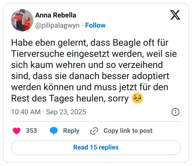 Habe eben gelernt, dass Beagle oft für Tierversuche eingesetzt werden, weil sie sich kaum wehren und so verzeihend sind, dass sie danach besser adoptiert werden können und muss jetzt für den Rest des Tages heulen, sorry 🥺