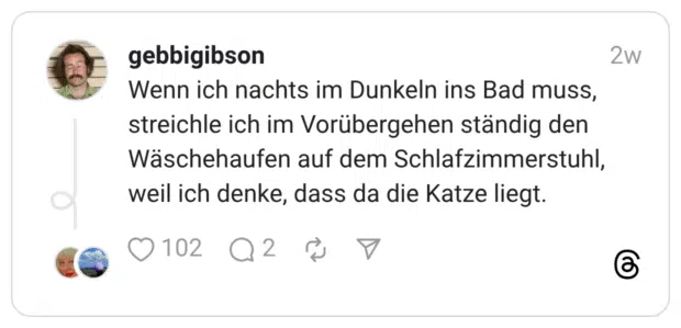 Wenn ich nachts im Dunkeln ins Bad muss, streichle ich im Vorübergehen ständig den Wäschehaufen auf dem Schlafzimmerstuhl, weil ich denke, dass da die Katze liegt.